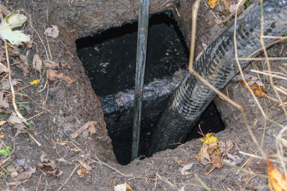 A septic hose pumps out the sludge in an overly full septic tank at home