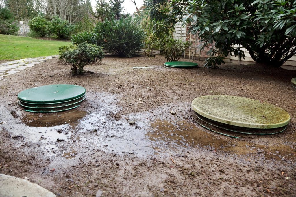 Flooding around drainpipes indicates emergency septic services are needed.