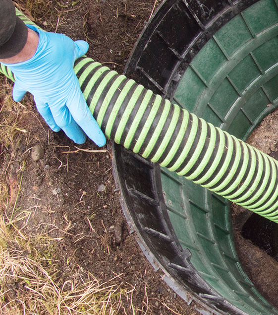 Hose pumping out home septic tank
