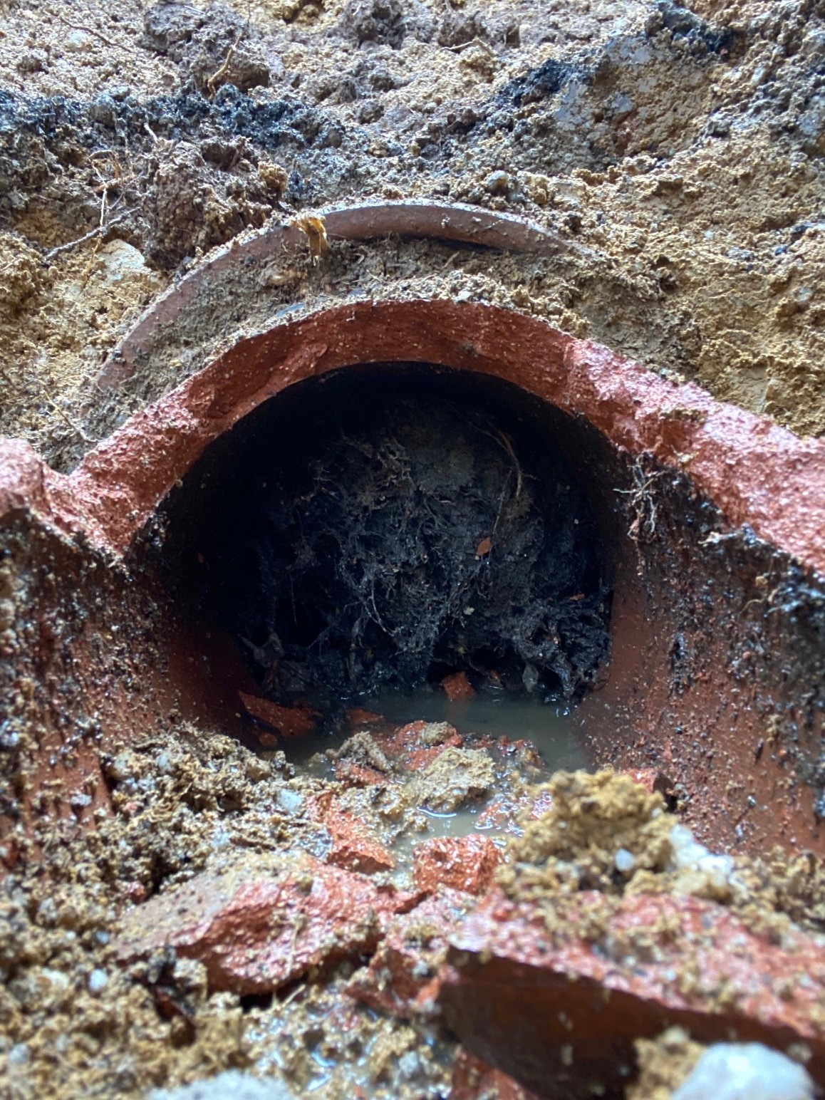 Biros Sewer line blocked with Roots