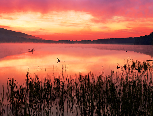 A misty sunrise at Locust Lake State Park, Schuylkill County, Pennsylvania, USA.