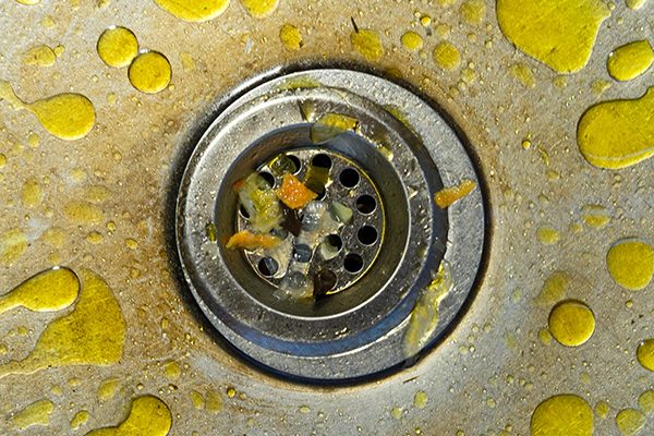 grease and food in a kitchen sink