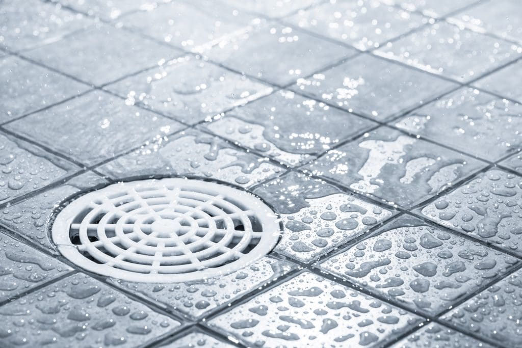 a shower drain