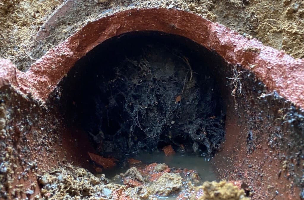 A closeup of a sewage pipe that has been blocked by root growth.
