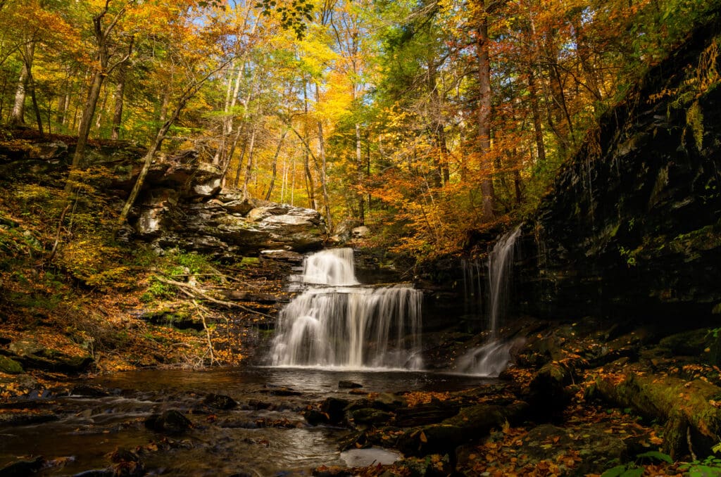 A waterfall in Ricketts Glen State Park in Sullivan County